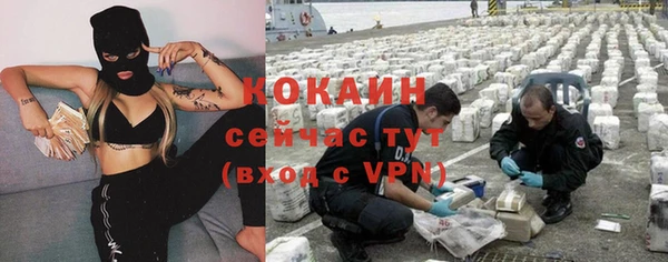ешки Алексин